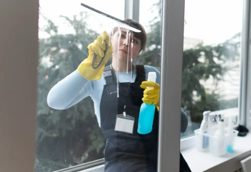 Nettoyage de vitres intérieures et extérieures à Paucourt